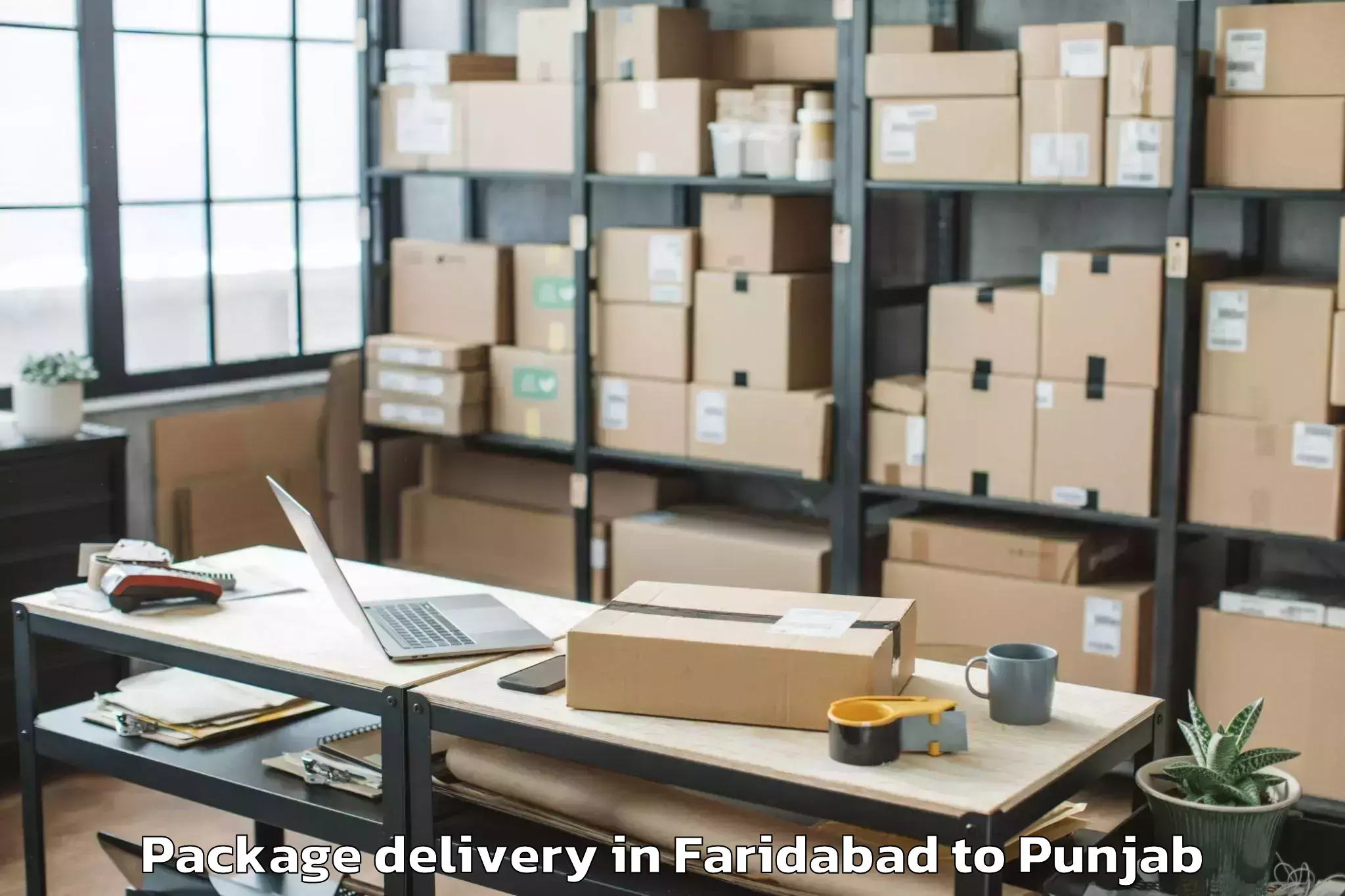 Professional Faridabad to Tapa Package Delivery